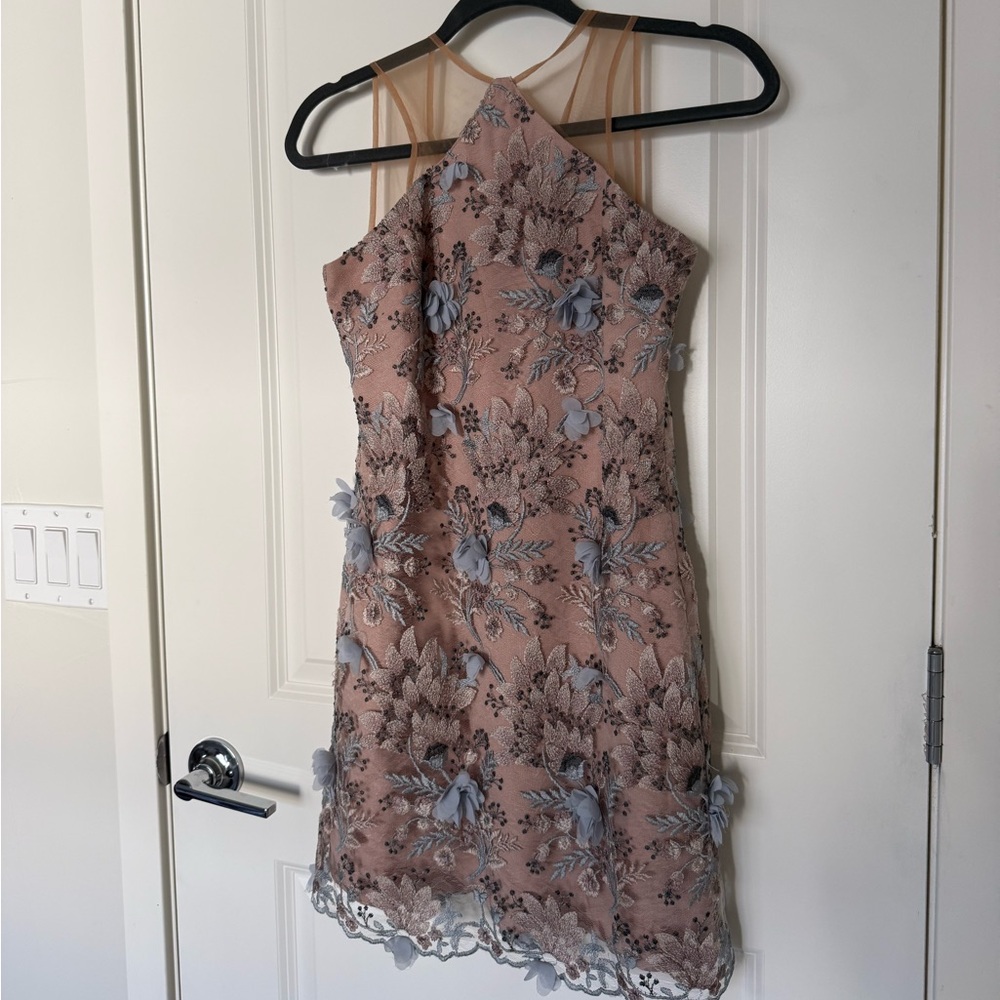 Dress the Population Aplique Dress